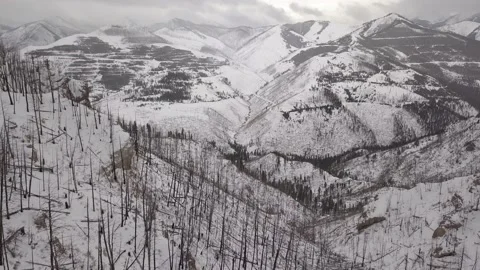 Burned mountain forest in winter Stock Footage 166067453