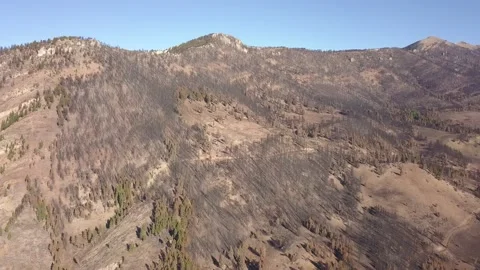 Burned mountain side Stock Footage 166490355