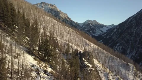 Burned mountain side in winter 스톡 동영상 166069985