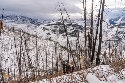 Burned mountains in winter Stock Footage 129700458