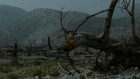 Burned mounted forest tracking shot dark atmosphere Stock Footage 89491532