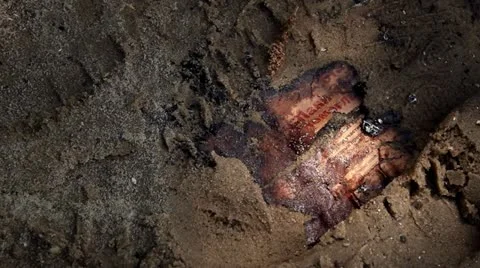 Burned news-sheet Stock Footage
