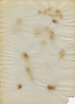 Burned old paper texture Stock Photos