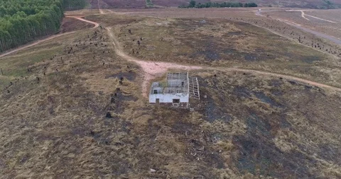 Burned out structure in ruins on the edge of commercial forest area aerial sh Stock Footage 95642630