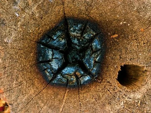 Burned pattern of old stump Stock Photos