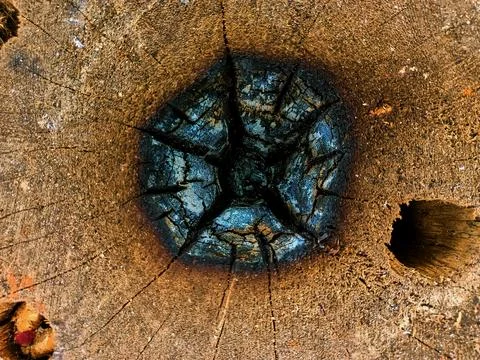 Burned pattern of old stump Stock Photos