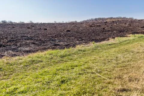 Burned Prairie Stock Photos