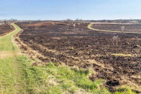 Burned Prairie Stock Photos