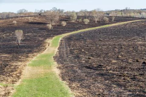 Burned Prairie 写真素材