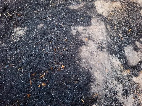 Burned rice husk ash creating natural organic fertilizer and soil amendment.. Stock Photos