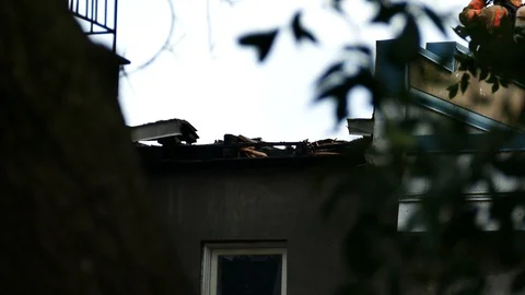 Burned roof after fire Stock Footage 116713044