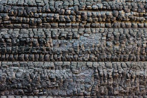 Burned timber wall Stock Photos