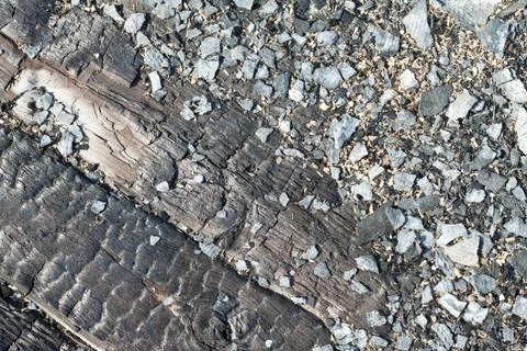 Burned timber wall Stock Photos