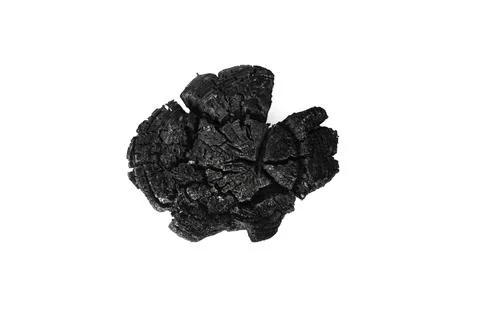 Burned tree cross section isolated on white background, flat lay close up Foto stock