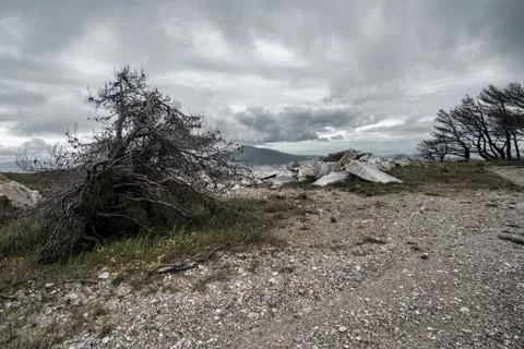 Burned Trees and Dramatic Clouds on Penteli Mountain Greece 스톡 사진