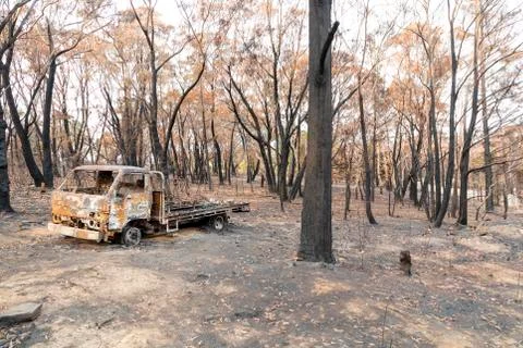 A burned truck amongst severely burnt Eucalyptus trees after a bushfire Stock Photos