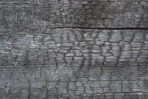 Burned wood texture Stock Photos