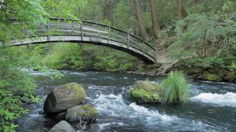 Burney Creek and Rainbow Footbridge, California Stock Footage