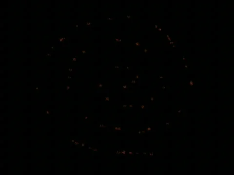 Burneyespi Stock-Footage 359836