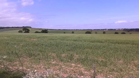 Burnham Deepdale Fields in Daytime Stock Footage 248686521