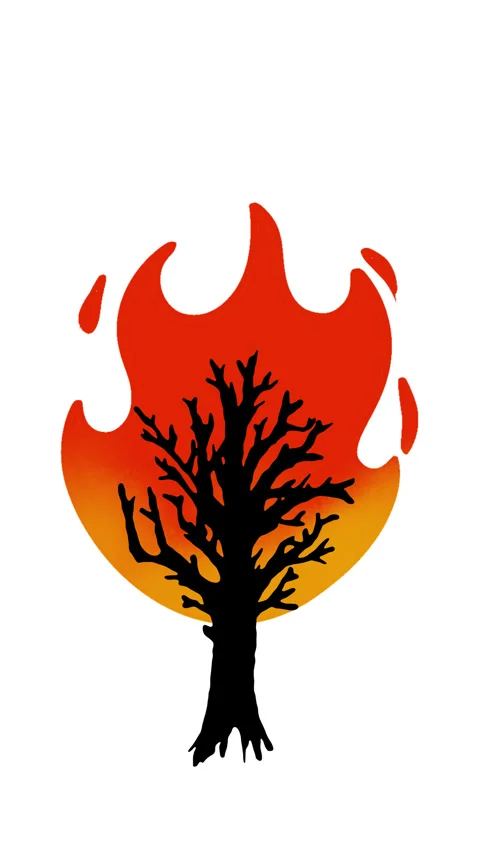 Burning alone tree with fire flames in cartoon doodle style. Stock Footage 275036654
