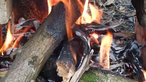 Burning and smoldering fire with coals in nature close-up Stock Footage 69176540