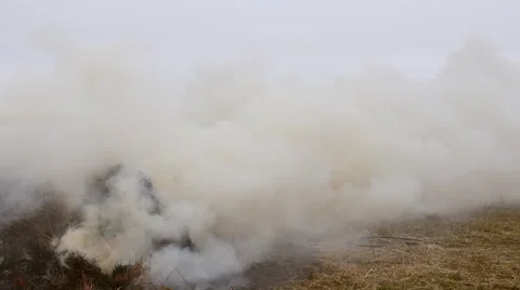 Burning and smoldering hay stack Stock Footage 63933403