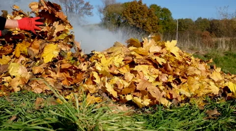 Burning autumn maple leaves in fireplace, visible smoke, rural landscape. Stock Footage 57287894
