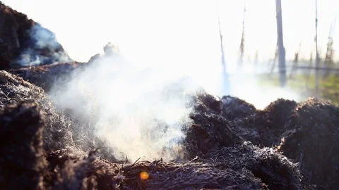 Burning bale of hay. Dry straw fires in the fields. After harvest To prepare the Видео 128943328