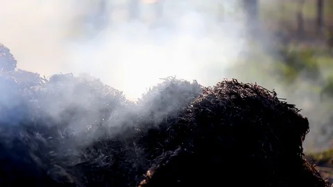 Burning bale of hay. Dry straw fires in the fields. After harvest To prepare the Видео 128943348