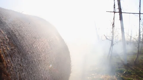 Burning bale of hay. Dry straw fires in the fields. After harvest To prepare the Видео 128943391
