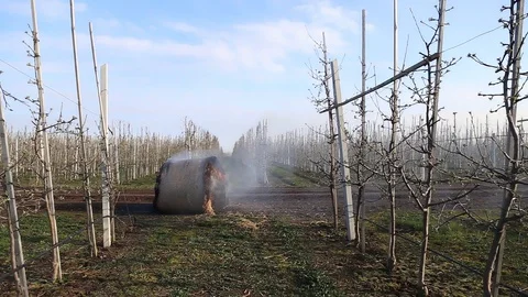 Burning bale of hay. Dry straw fires in the fields. After harvest To prepare the Видео 128943595