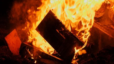 Burning bee hive boxes collapsed in flames to kill AFB colony in New Stock Footage 99601465