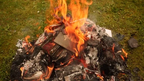 Burning Bible in a fire Video stock 80000315
