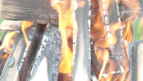 Burning billets in hot barbeque Stock Footage 8926106