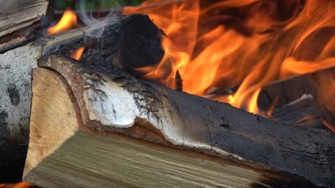 Burning birch firewood Stock Footage 92455972