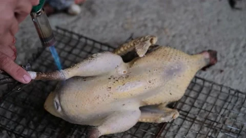 Burning birds Video stock 131209109