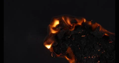 Burning Black Paper Stock Footage 170389519