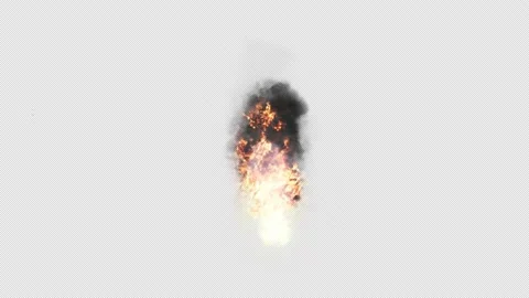 Burning blazing fire Isolated by Alpha channel (transparent background) Stock Footage 171281235