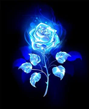 Burning blue rose Stock-Illustration