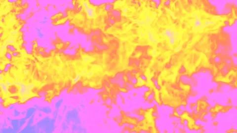 Burning bonfire against a bright background Stock Footage 137805093