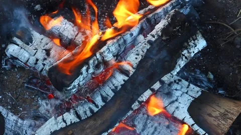 Burning bonfire and coals close-up with flying small sparks, close-up as a Video stock 148360463