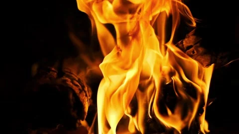 Burning Bonfire on Black Background Stock Footage 303758062
