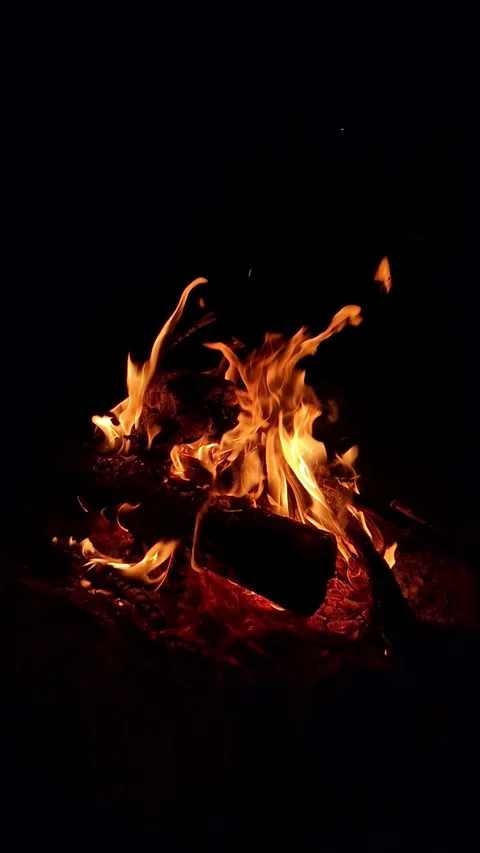 Burning bonfire with bright orange flames on a black background at night Stock Footage 334734301