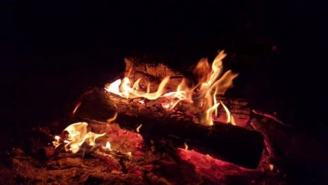Burning bonfire with bright orange flames on a black background at night Stock Footage 334734337