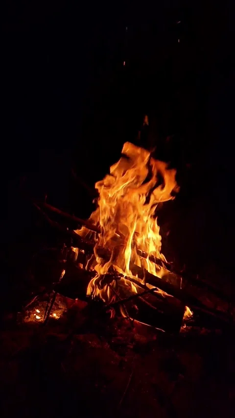 Burning bonfire with bright orange flames on a black background at night Stock Footage 334734342