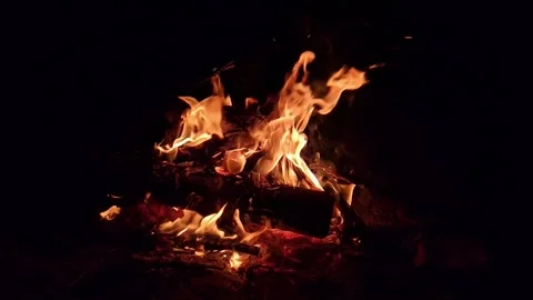Burning bonfire with bright orange flames on a black background at night Видео 334734363