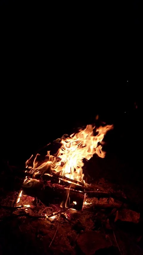 Burning bonfire with bright orange flames on a black background at night Видео 334734400