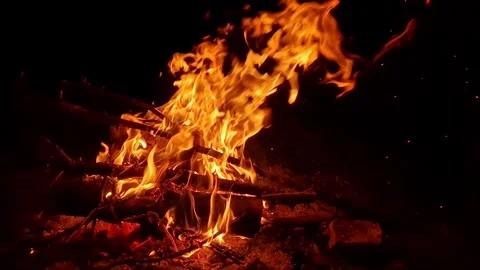 Burning bonfire with bright orange flames at night Stock Footage 335478389