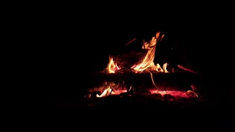Burning bonfire with bright orange flames at night 스톡 동영상 335478391